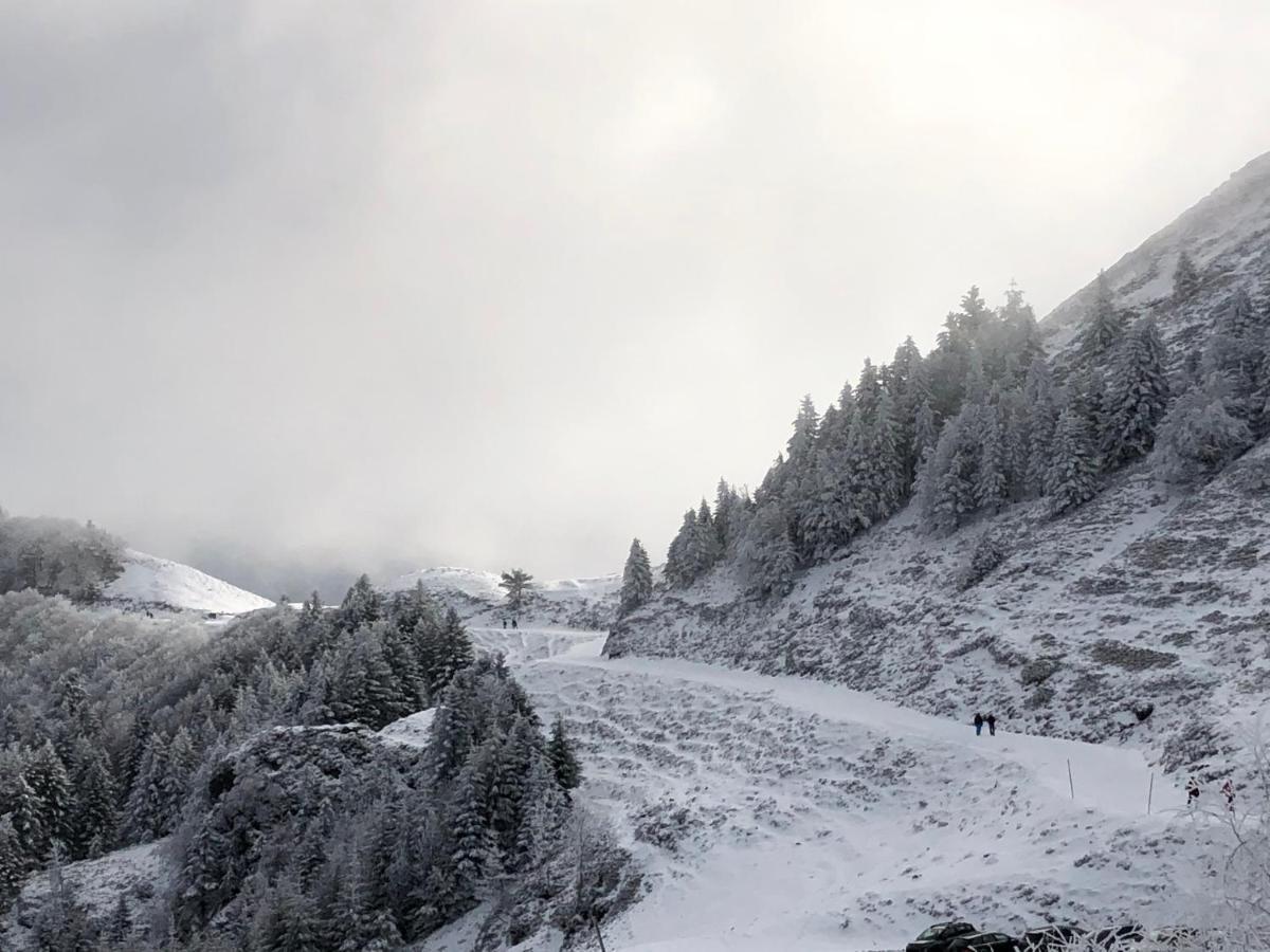 Chateau Porthos Tranquillite Des Pyrenees Lanne-en-Baretous Екстер'єр фото