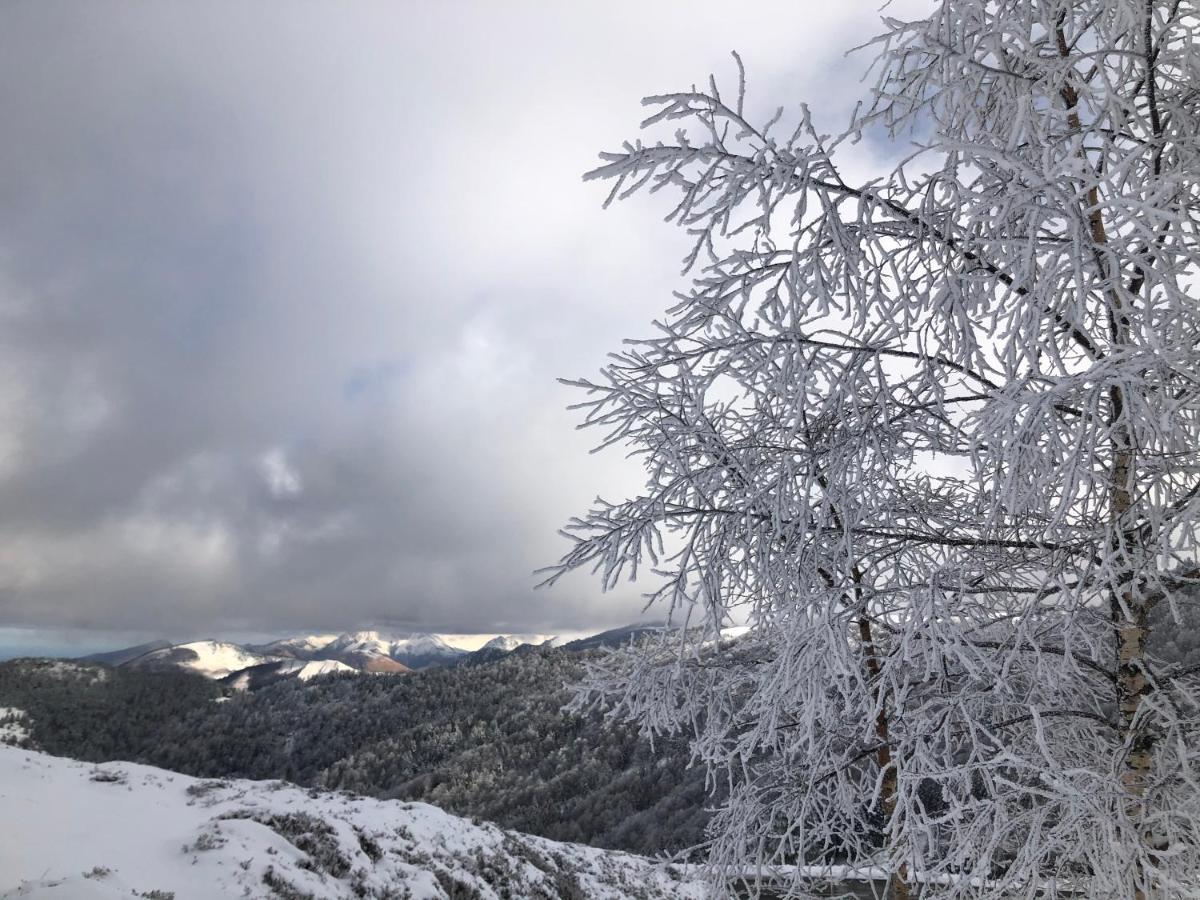 Chateau Porthos Tranquillite Des Pyrenees Lanne-en-Baretous Екстер'єр фото